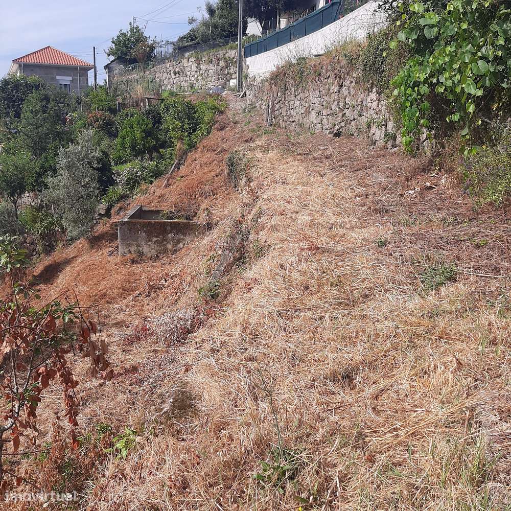 Casa em pedra para reconstruir Canelas Penafiel-27