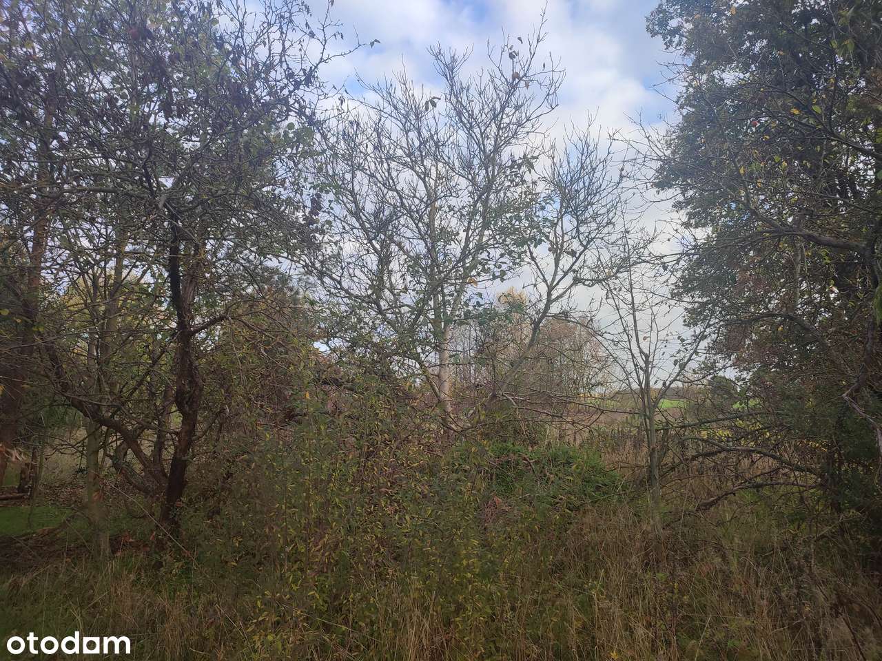 Nieruchomość gruntowa położona w obrębie Kije - działka nr 639/6 - Pełny obrazek: 4/5