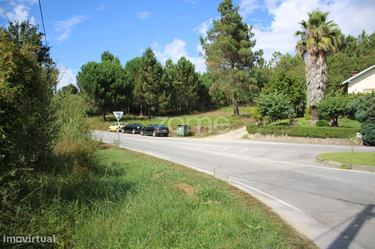Terreno com pinhal e e mato a 15 minutos de Viseu - Grande imagem: 2/33