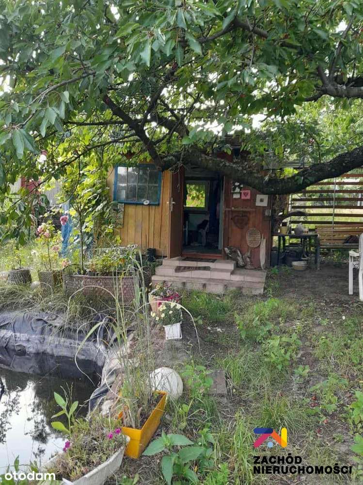 Działka ogrodowa 520 m2 okolica Os. Morelowe - Pełny obrazek: 5/16