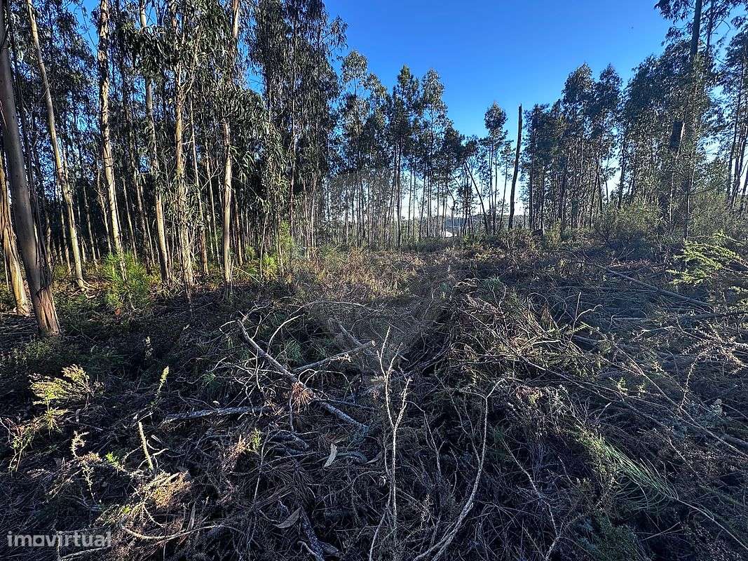 Terreno  para venda - Grande imagem: 4/19