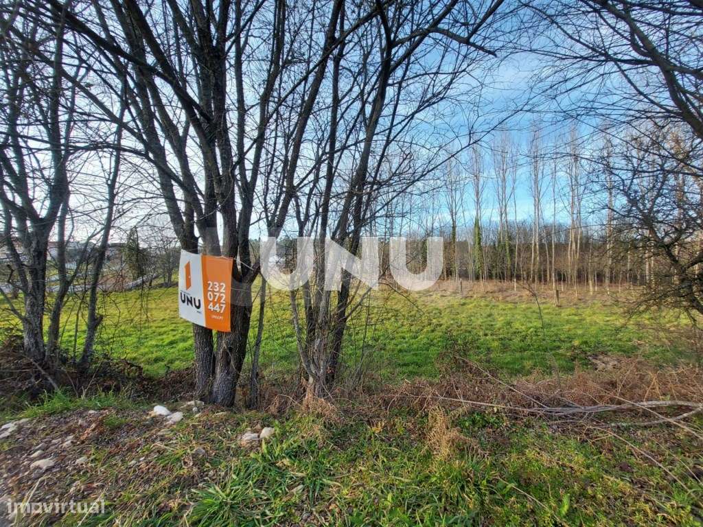 Terrenos Rústicos - Local Rodeado de Natureza - Grande imagem: 4/18