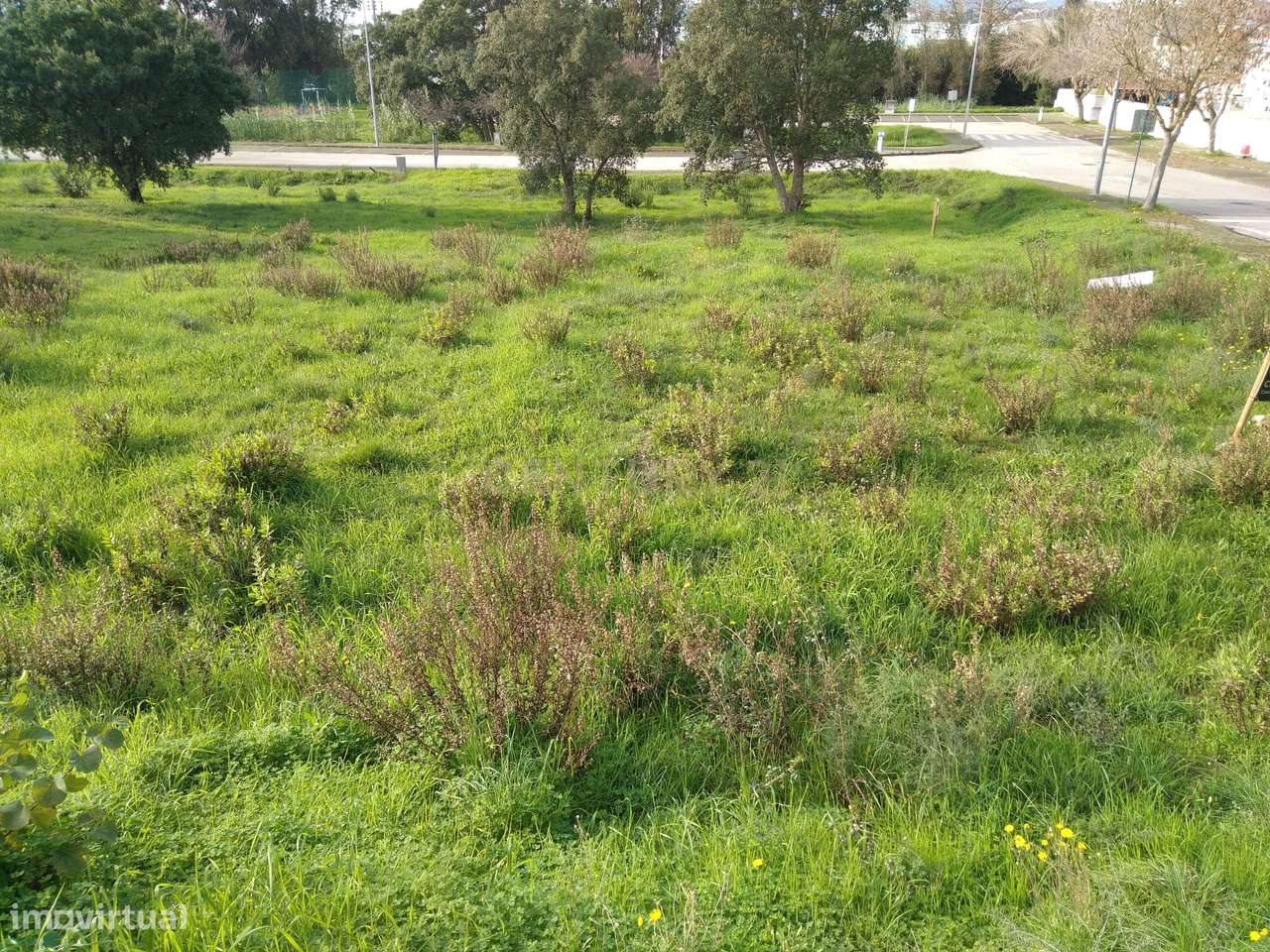 Lote para Moradia - Casal Vidigal - Entroncamento - Grande imagem: 4/6