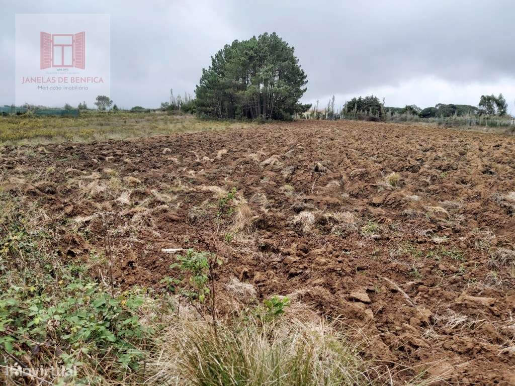 Quintinha com Moradia V3 Piscina - Sintra-29