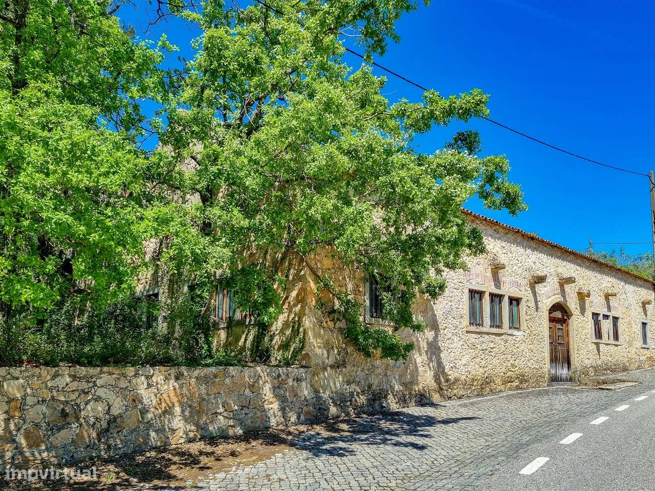 Restaurante e Bar em Antigo Lagar – Abiul, Pombal (Leiria) - Grande imagem: 3/60
