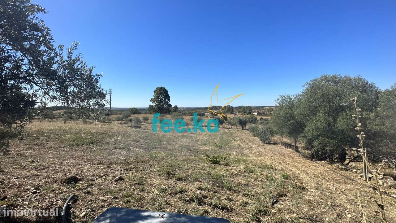 Quintinha em Monfortinho-12