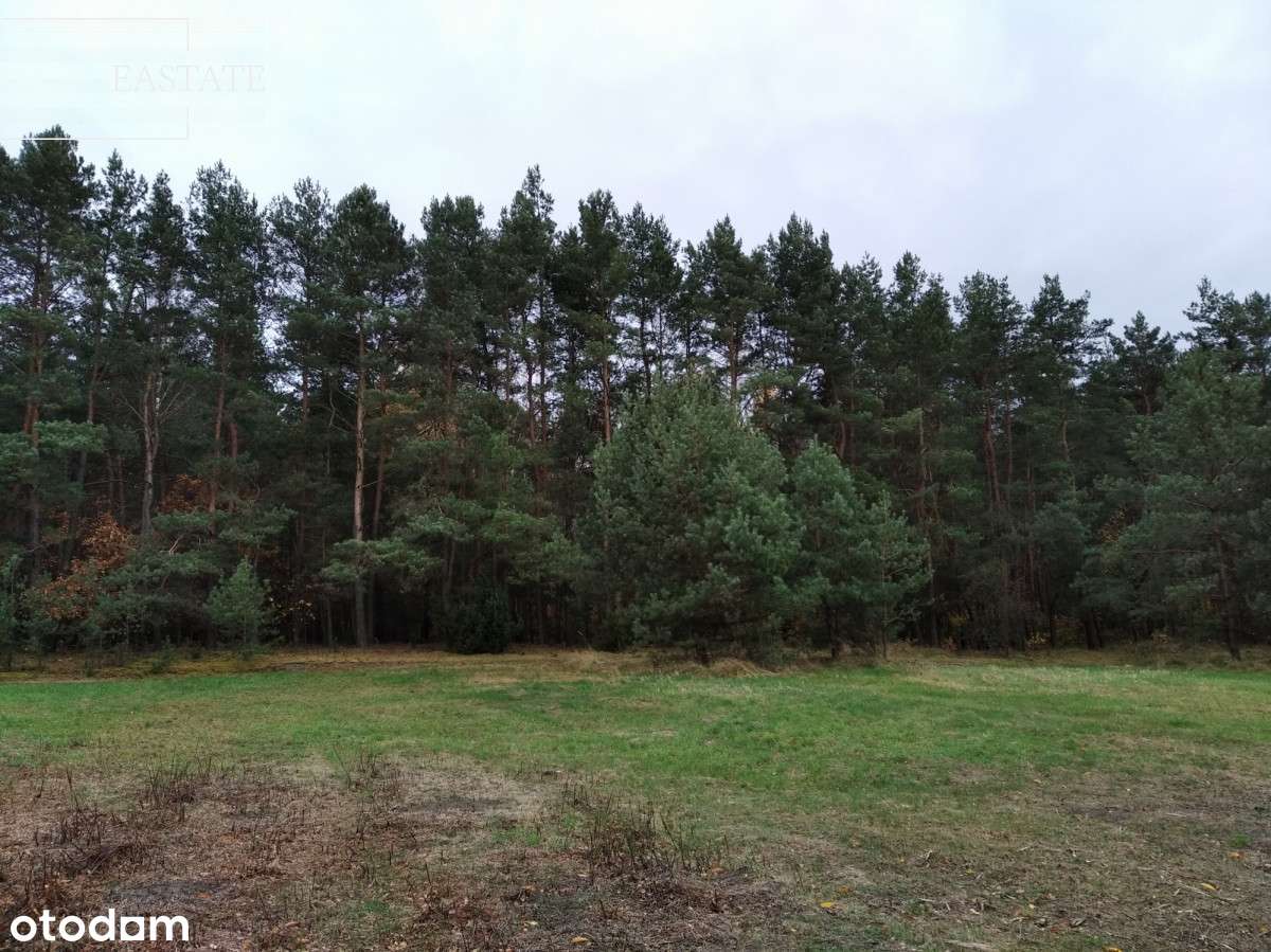 Działka, Radzymin, Mpzp - Pełny obrazek: 4/7