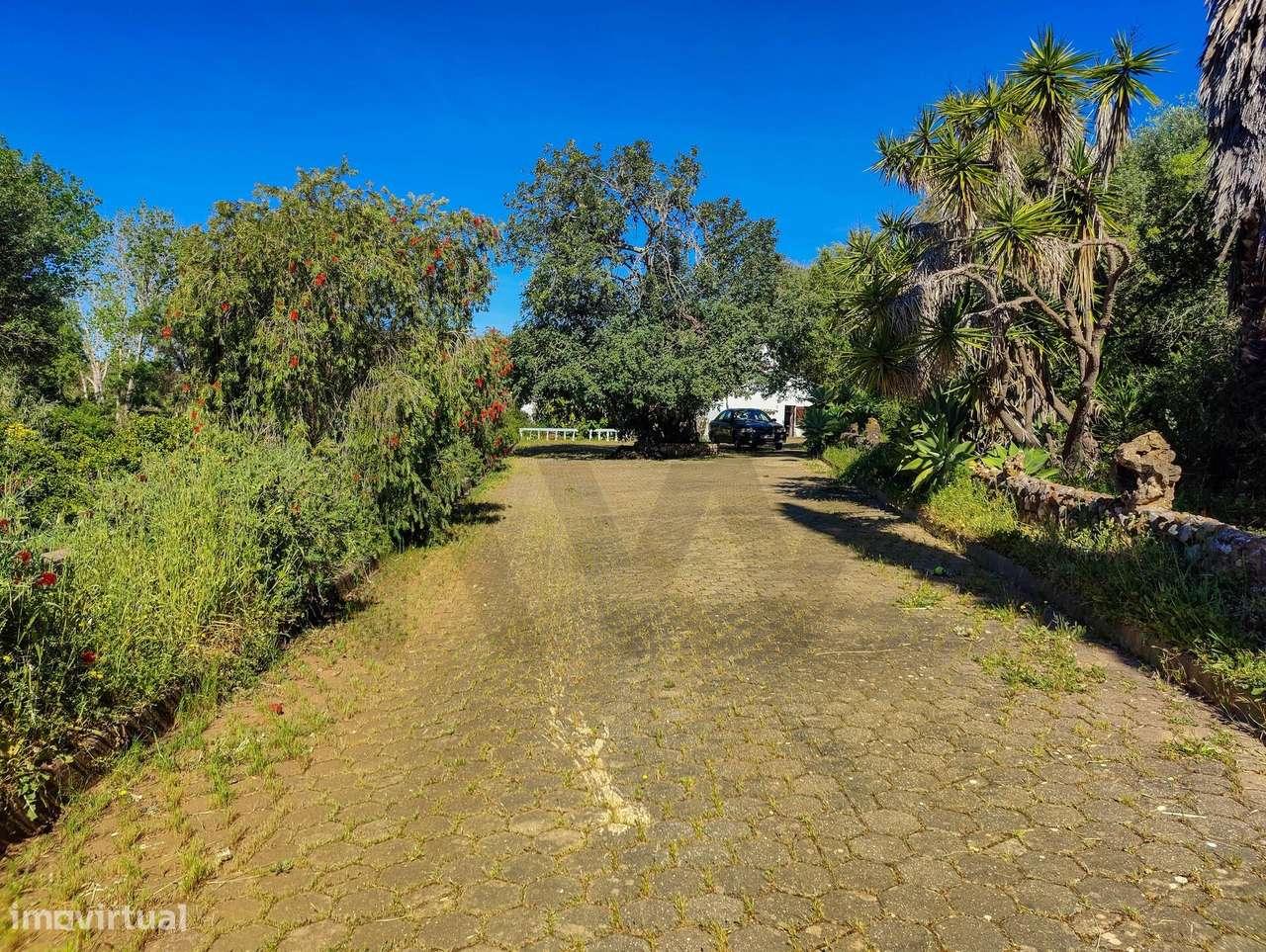Quinta em Arão- T3+1 com piscina e terreno de 8000m2-31
