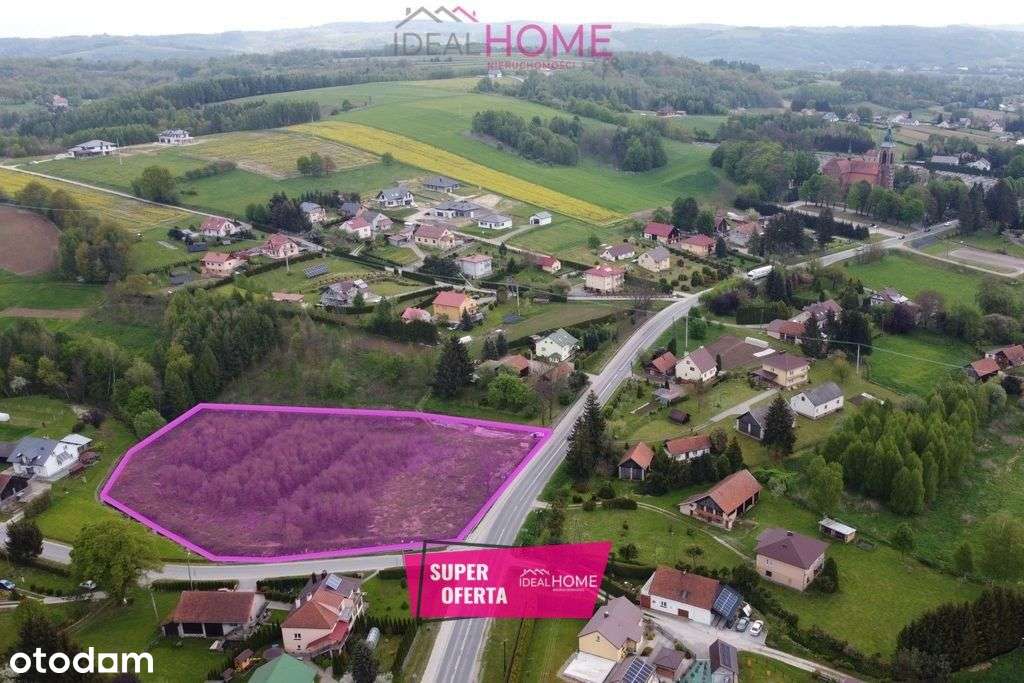 Działka inwestycyjna w Dobrzechowie - Pełny obrazek: 1/8