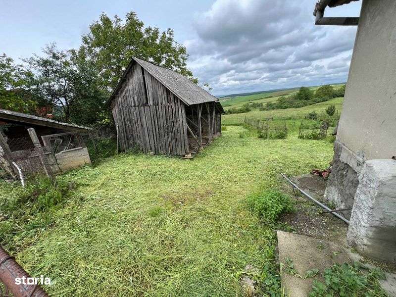 Vand casa in Tasad cu teren de 5793mp la asfalt, front stradal de 30m - Imagine principală: 4/8