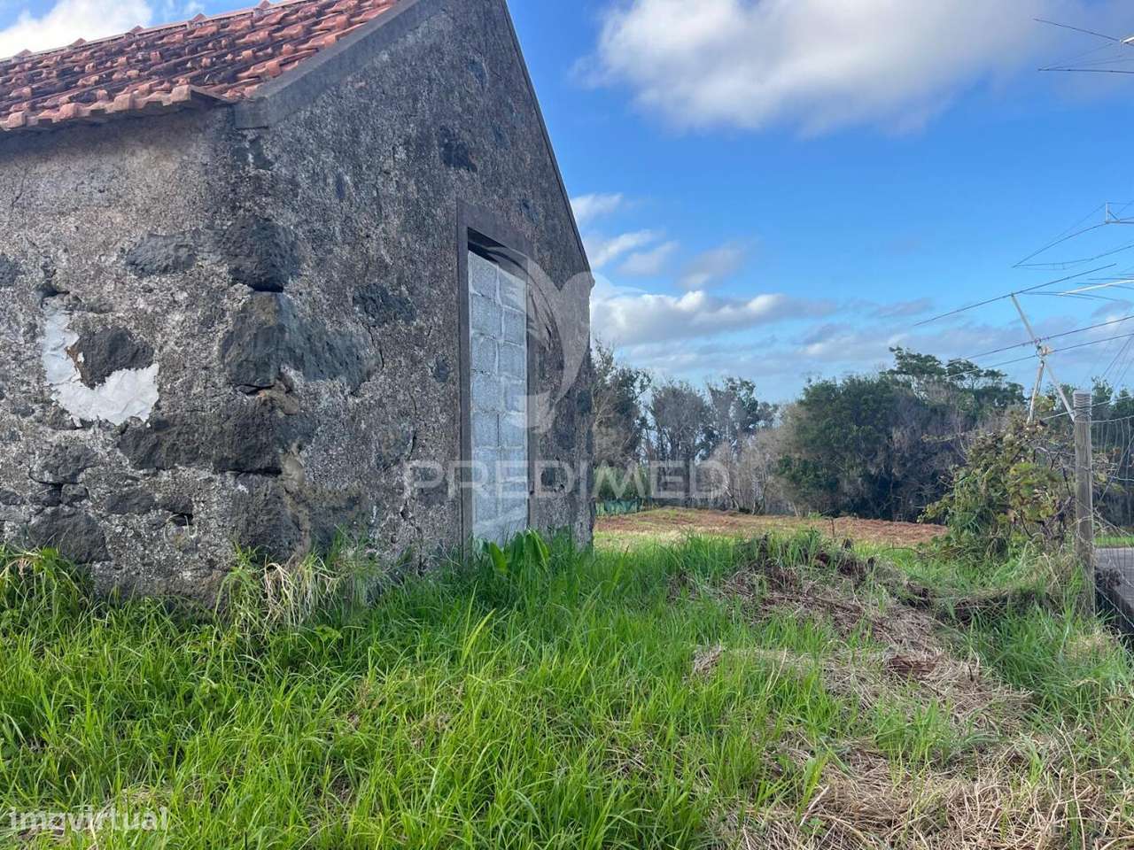 PALHEIRO E TERRENO (1.300M2) SANTA PORTO MONIZ - Grande imagem: 5/5