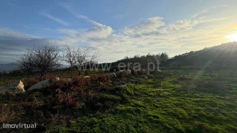 Terreno / Baião, Campelo e Ovil - Grande imagem: 4/8
