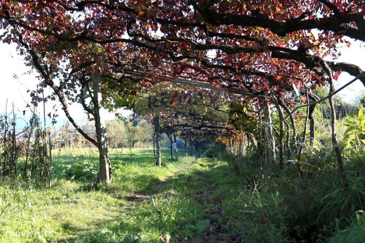 Terreno  para venda