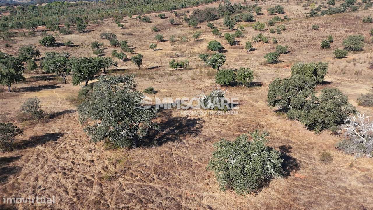 Herdade  Venda em Garvão e Santa Luzia,Ourique-27