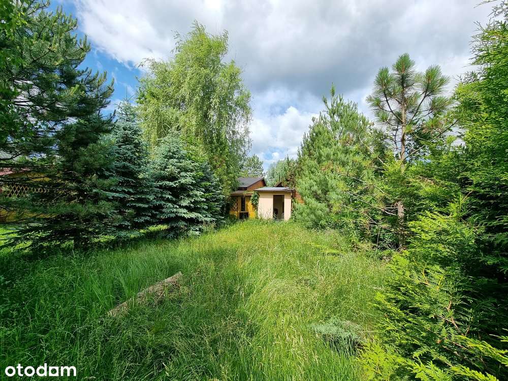 Domek | dz. 461 m2 | Blisko plaży 400 m | j. Białe - Pełny obrazek: 4/20