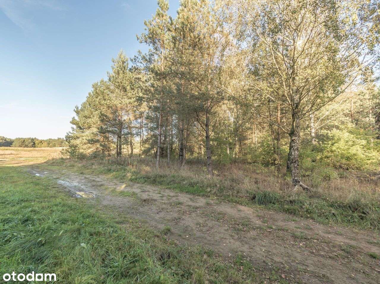 Działki Na Sprzedaż-6