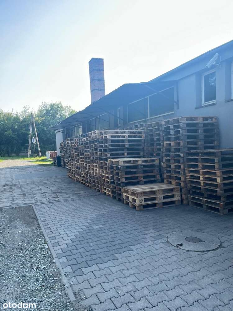 Budynek produkcyjno-magazynowy-5