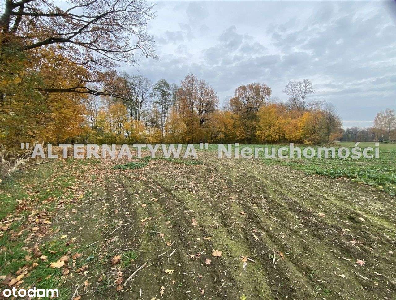 Wyjątkowa działka Mizerów-8