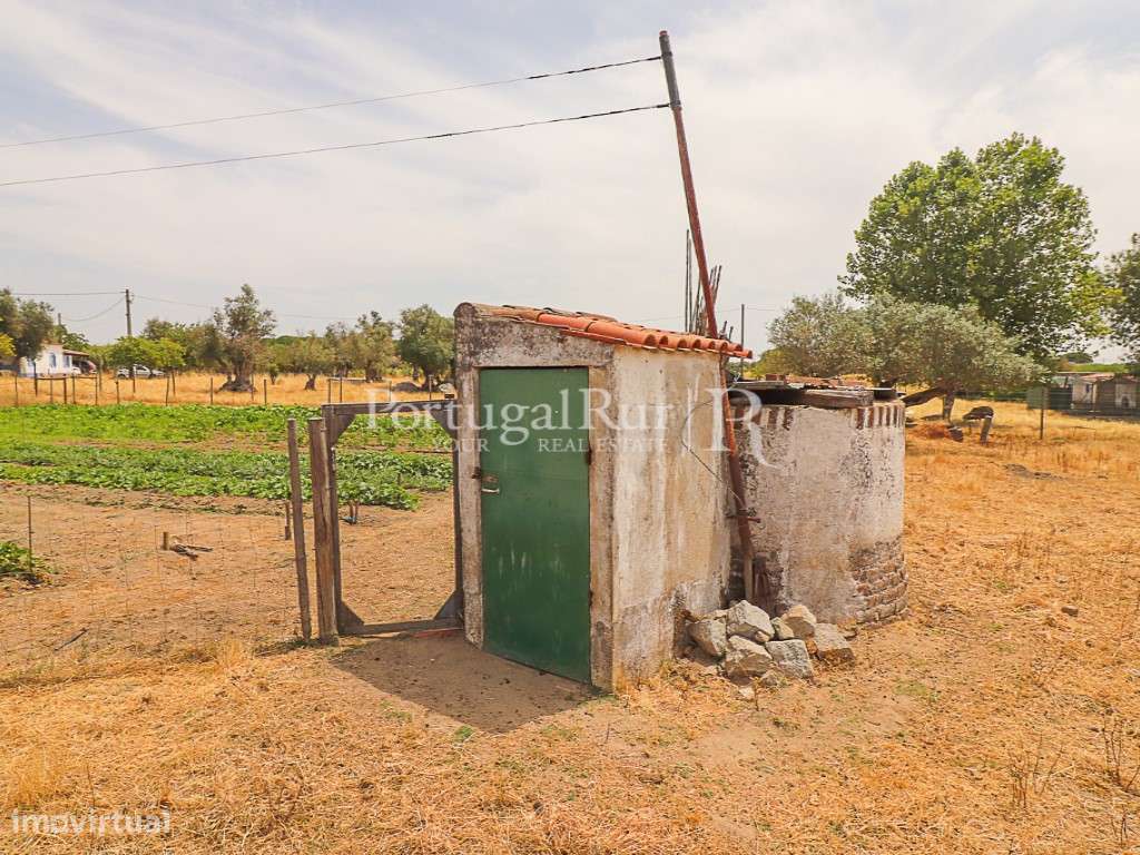 Encantadora quintinha alentejana-10