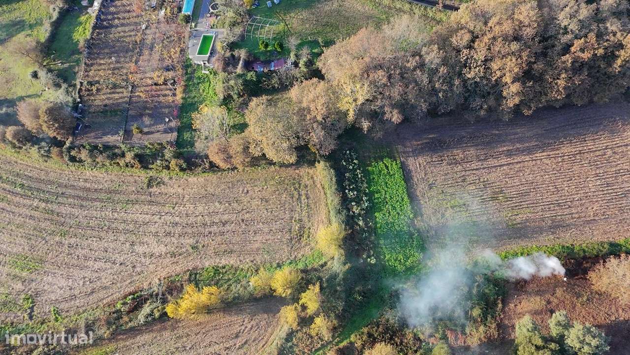 Quinta para Venda em Gondar, Guimarães – Oportunidade!-19