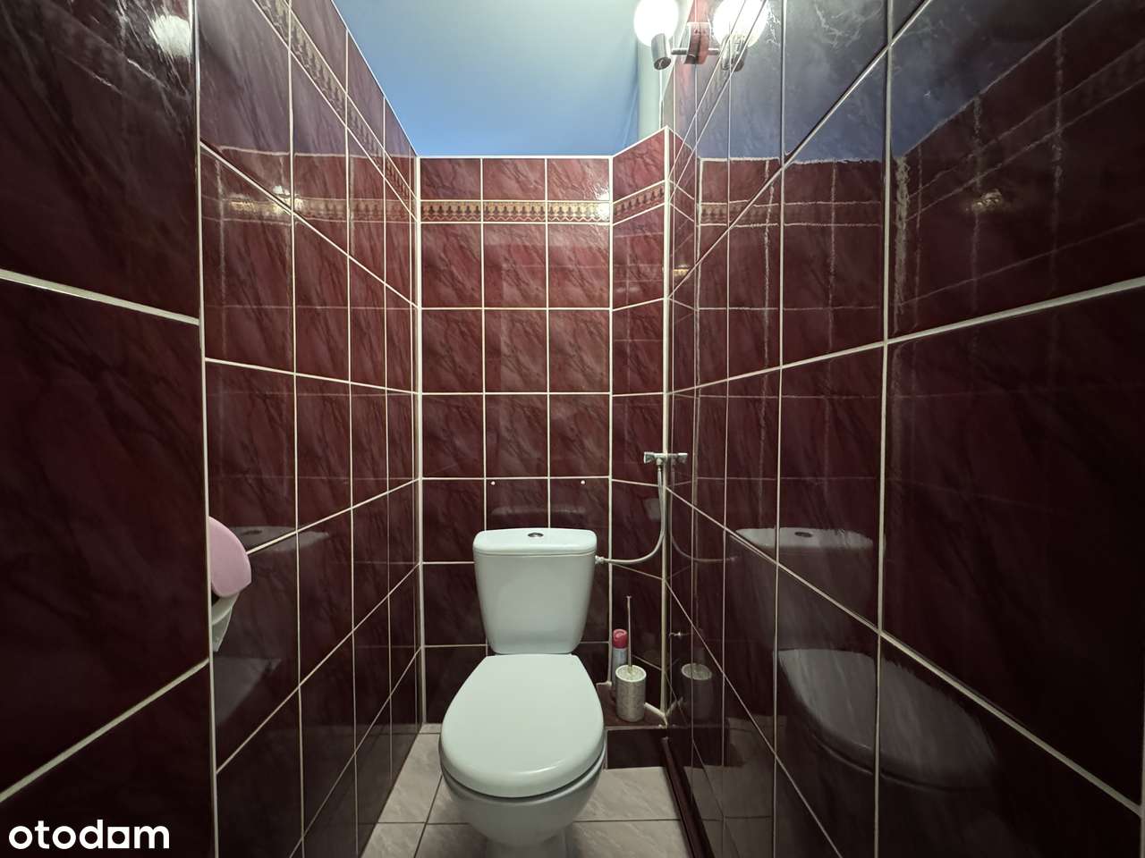 Gospodarstwo z domem, zabudowaniami i gruntami rolnymi-4,06h-17