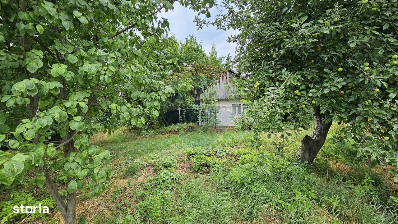 Teren intravilan 2,036mp Pădureni-Șendriceni, Botoșani - Imagine principală: 5/5