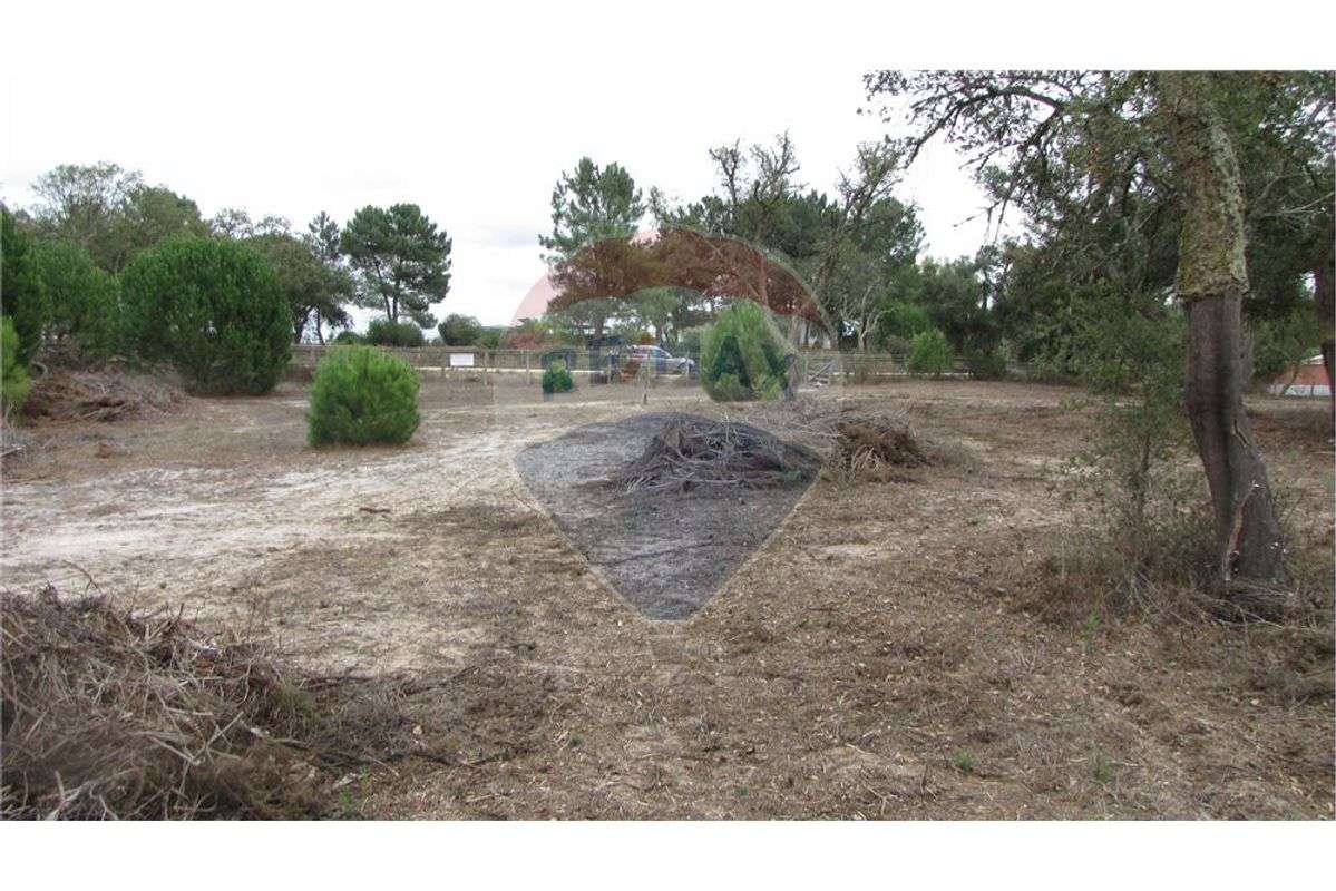 Terreno  para venda - Grande imagem: 4/17