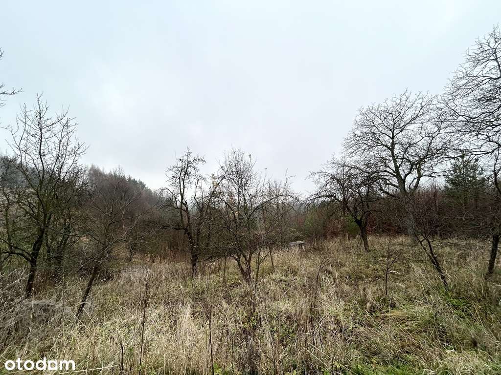 Działki rolne-Tymin - Pełny obrazek: 4/10