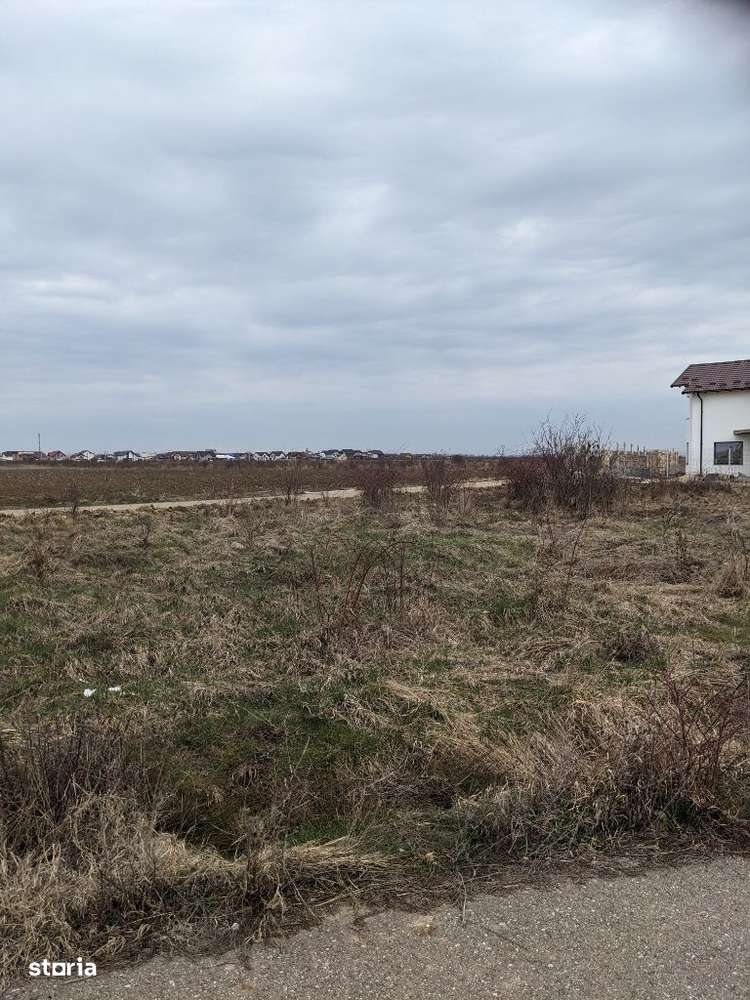 Teren 1000 mp deschidere 40 ml la asfalt ,Albota Morlovani zona vile,-9