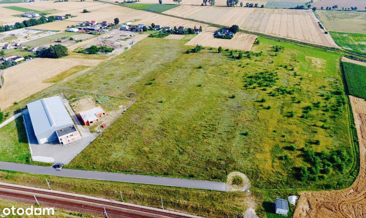 Teren pod AG z planem miejscowym Września, autostrada A2. Bez prowizji - Pełny obrazek: 5/6
