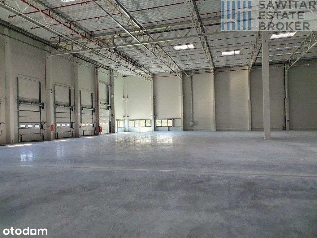 Hala magazynowy klasy A przy porcie - Pełny obrazek: 4/4