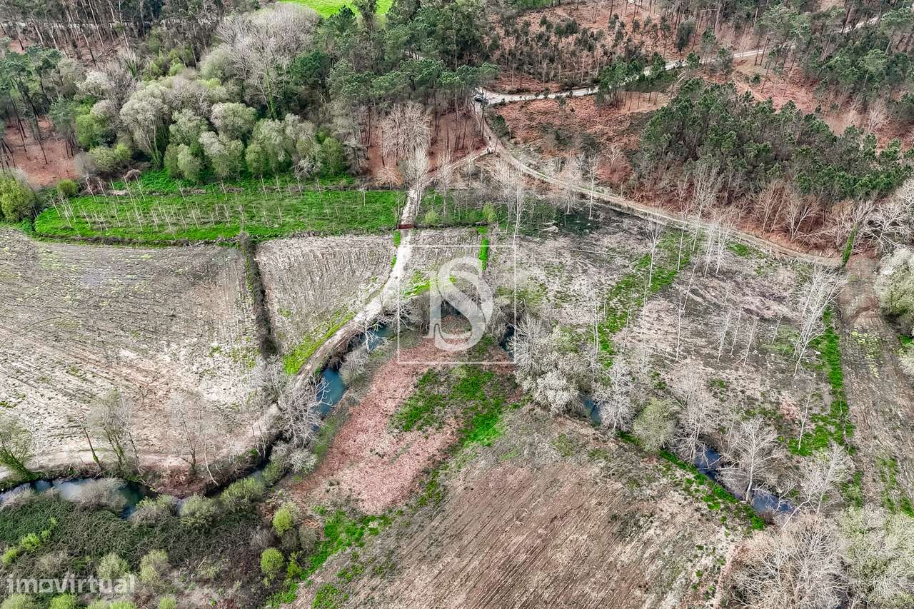 Terreno Rústico  Venda em Associação de freguesias do Vale do Neiva,Po-11