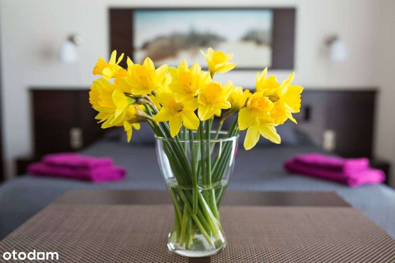 Unikatowa willa na początku Polski - Hel-5