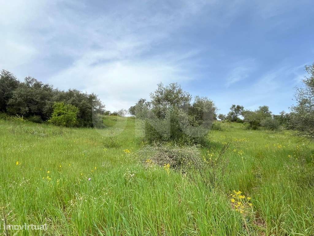 Terreno na Encosta do Castelo de Monsaraz-12