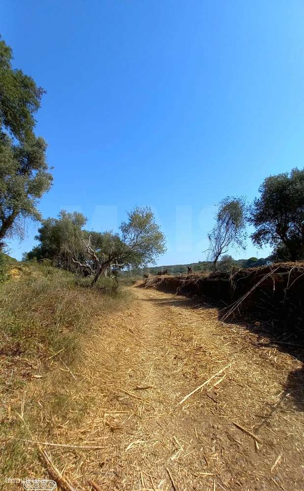 Terreno para Construção em Vale do Mouro de Baixo, Melides - Grande imagem: 3/5