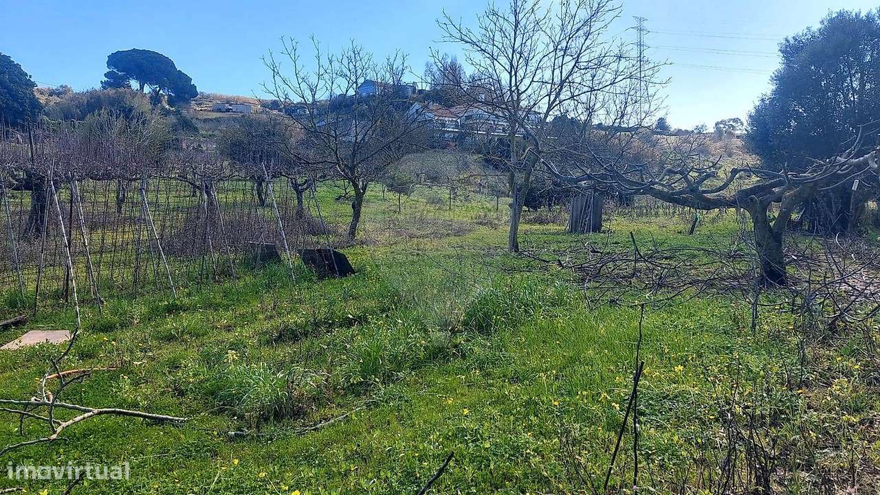 Terreno  para venda-27