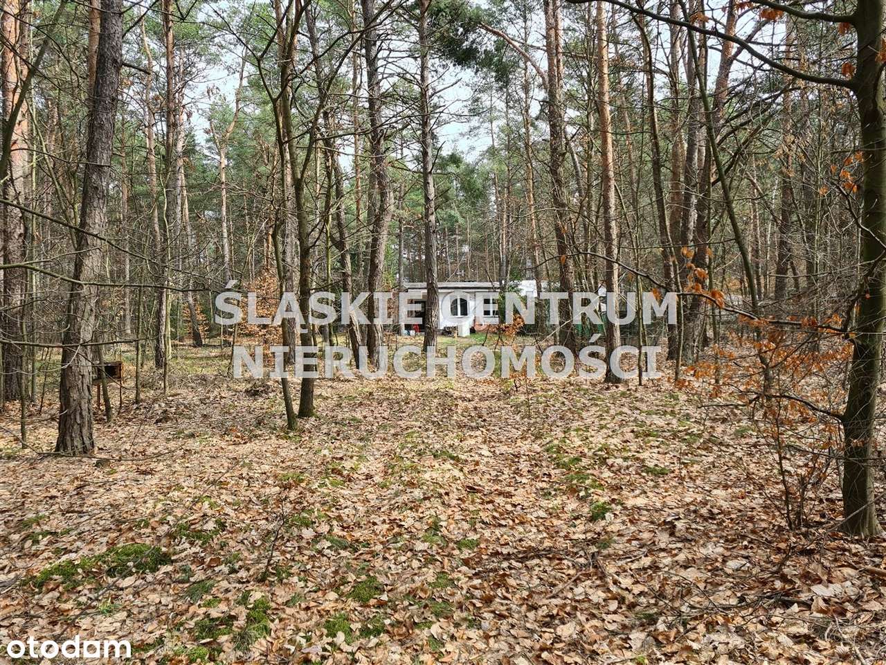 Działka z domem w Hutkach Kankach Poziomkowa - Pełny obrazek: 5/16