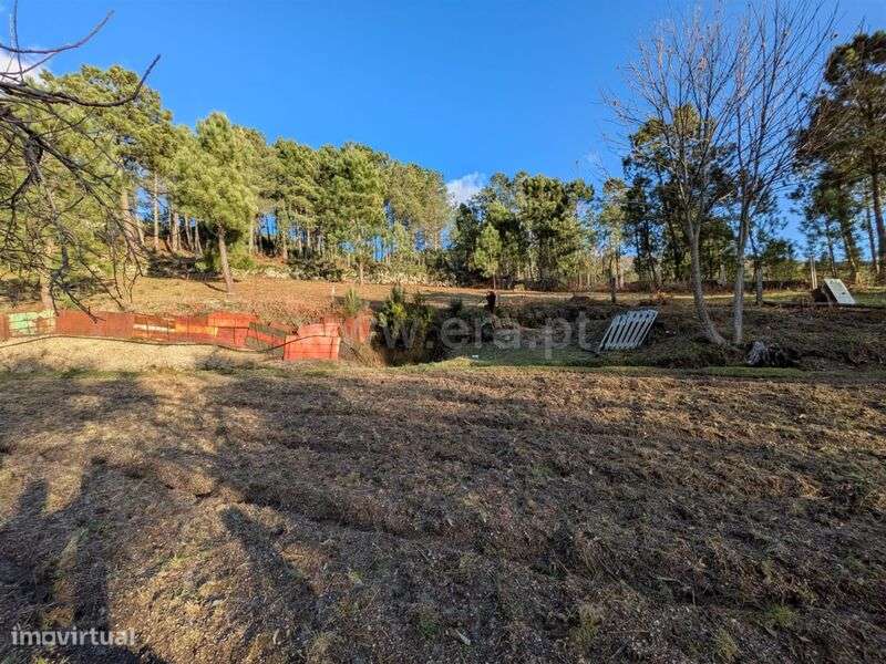 Quinta / Seia, Loriga - Grande imagem: 2/12