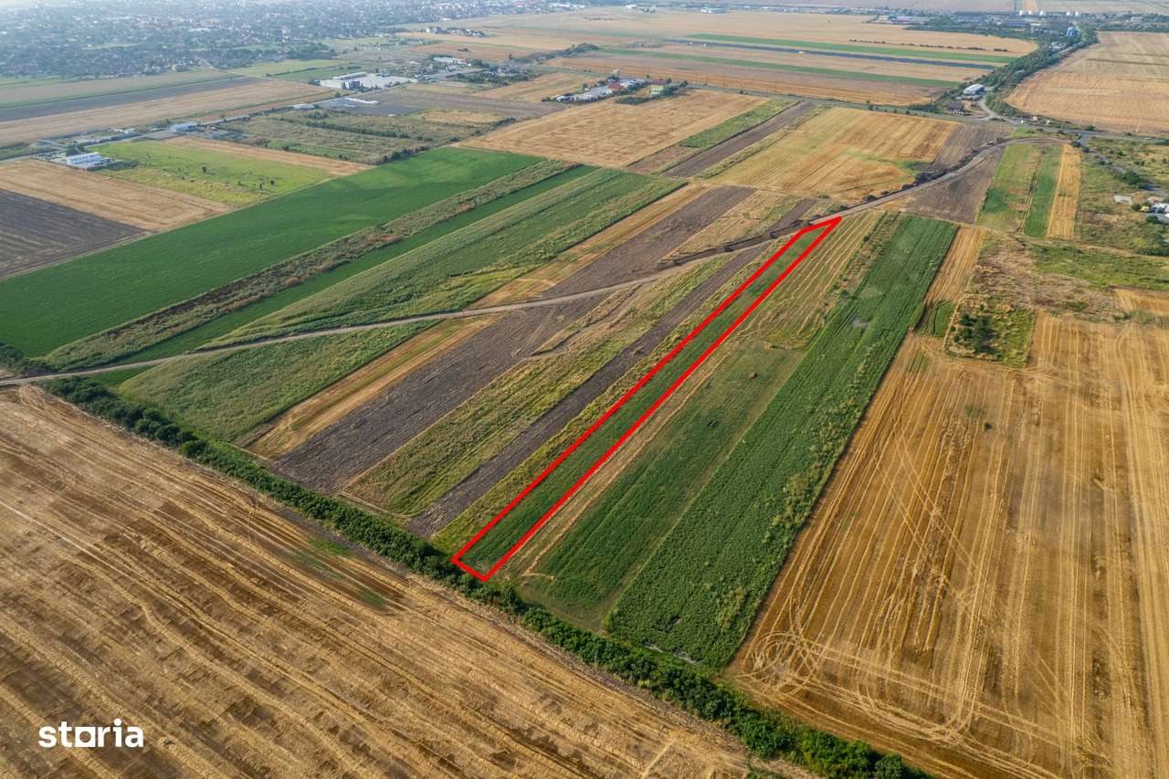 Teren 4.271 mp de vanzare  în Vladimirescu - Imagine principală: 4/6