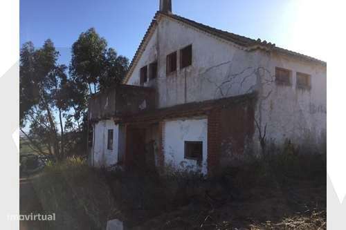 Excelente propriedade com 47,5 ha a 15 minutos de Alenquer - Grande imagem: 4/15