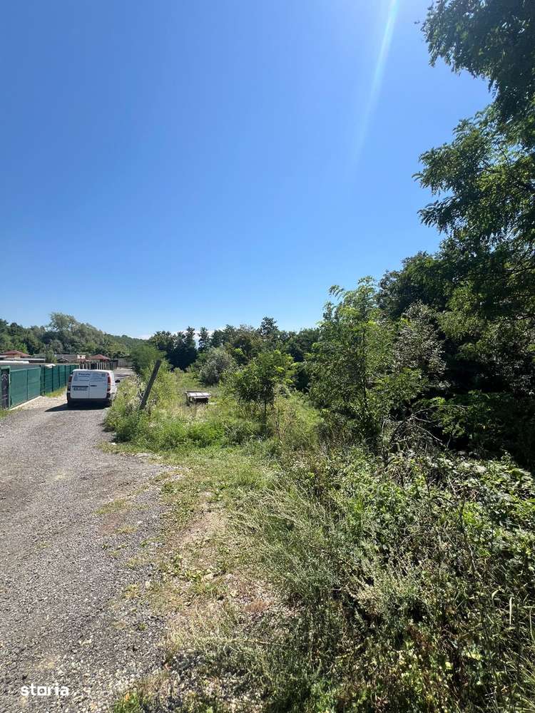 Teren intravilan exclusivist – Tocile, Valea Sadului - Jud. Sibiu - Imagine principală: 4/8