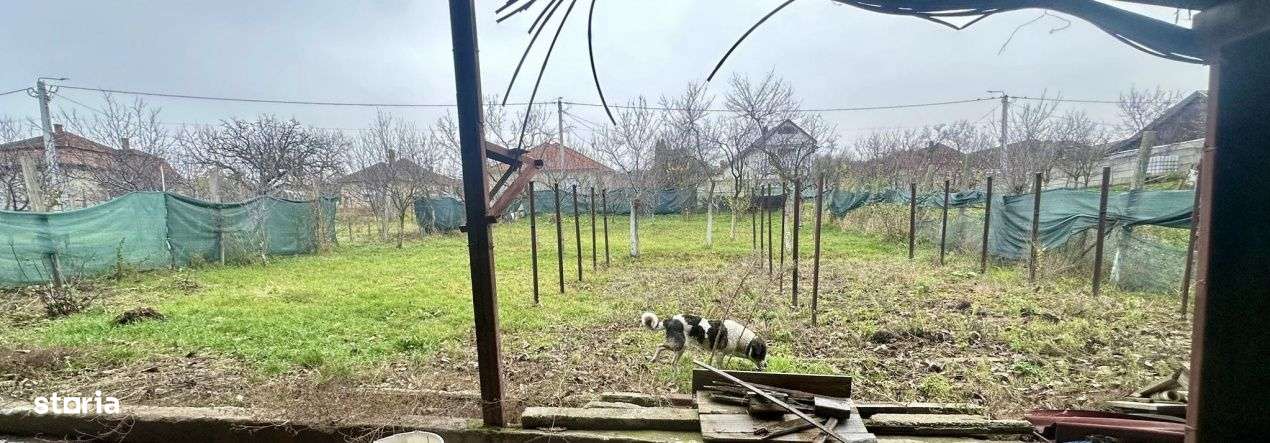 Proprietate mixta de vanzare – locuinta + hala – Tasnad, SM-6