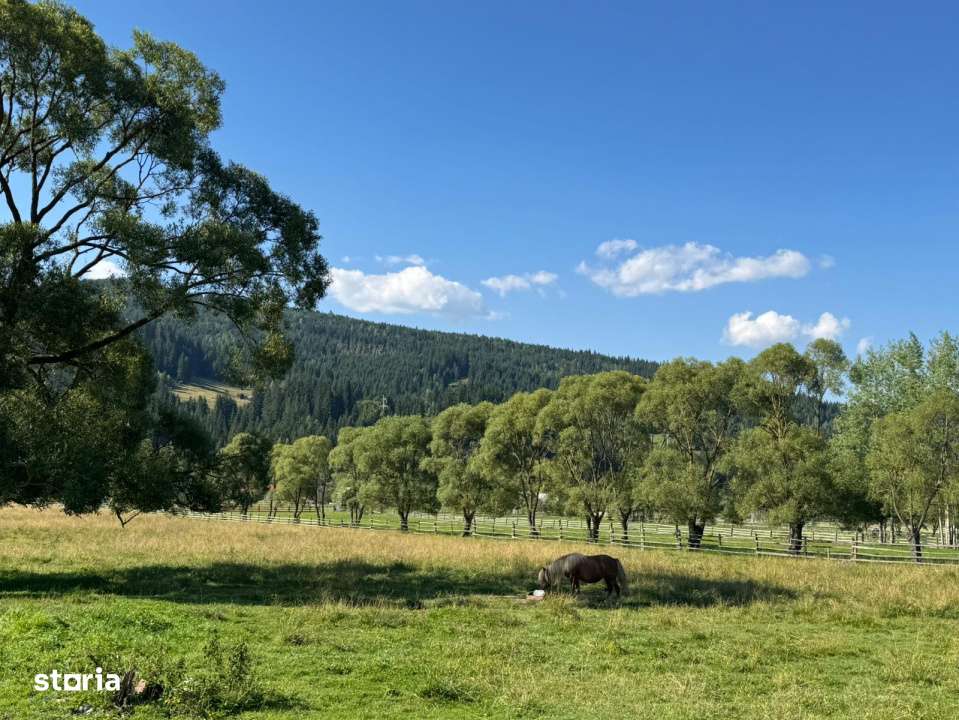 Vanzare 33400 parcelat- 18 loturi - Plaiul Sarului la sosea- microdezv-12