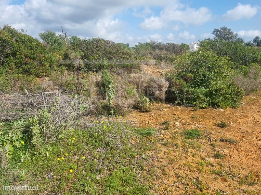 Terreno Rustico Lagoão