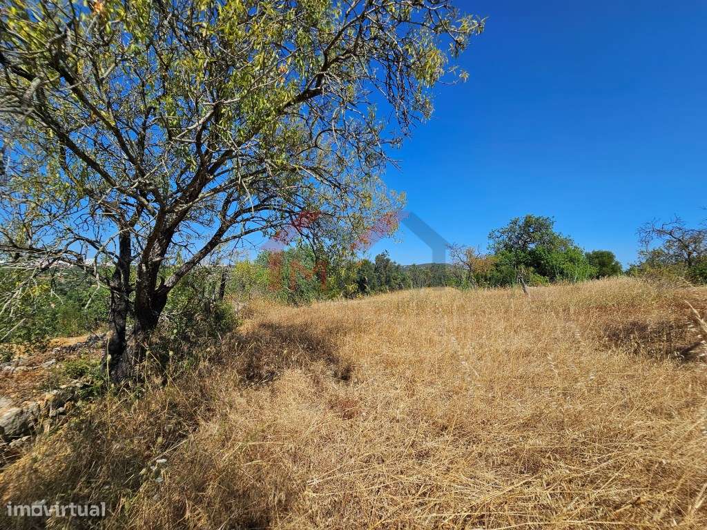 Moradia tradicional V5 para recuperar com terreno de 31.000 m2 - Loulé-14