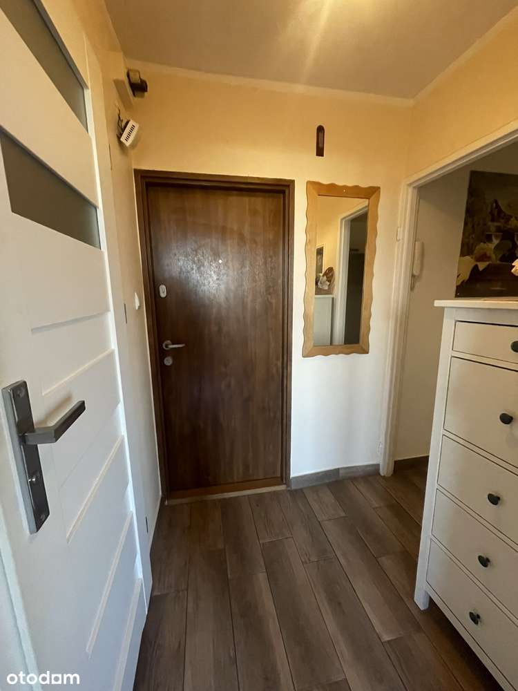 Widne, ustawne i przytulne ! Wolne od zaraz !-7