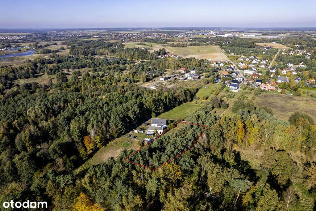 Las na własność, dom na wyłączność! - Pełny obrazek: 5/15