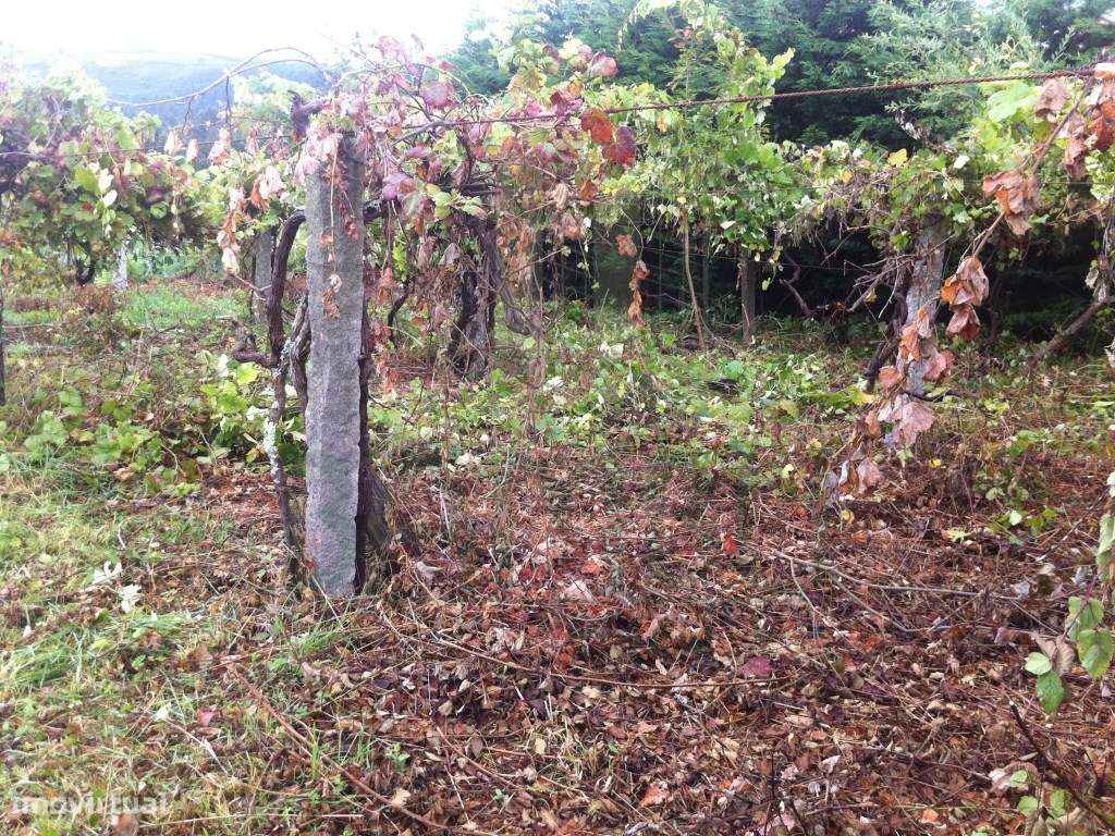 Terreno para venda em Azevedo. - Grande imagem: 3/7