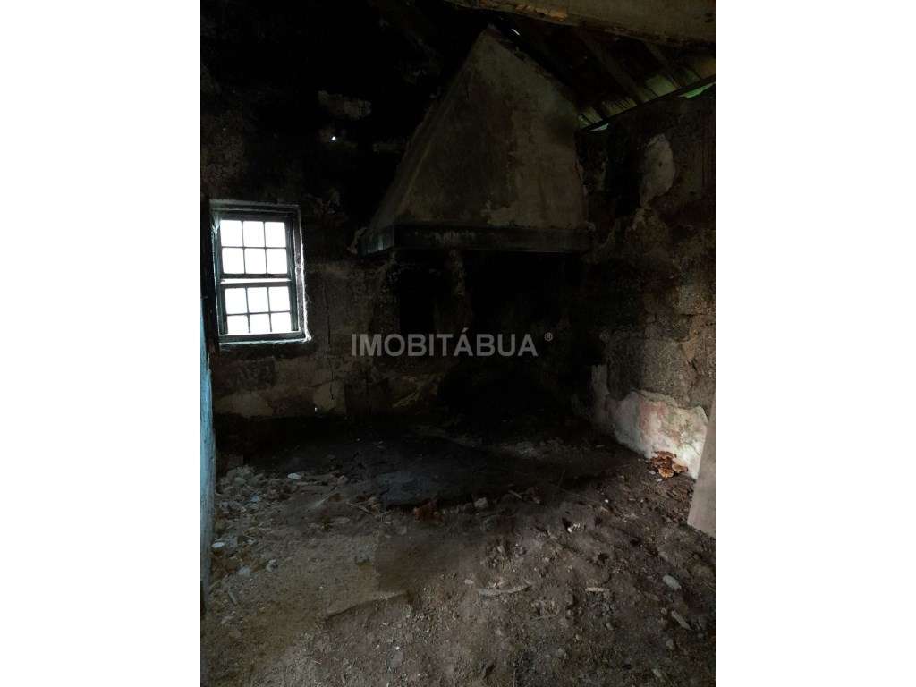 Quinta de Mirtilos com mais de 3 Hectares, localizada perto de Tondela-14