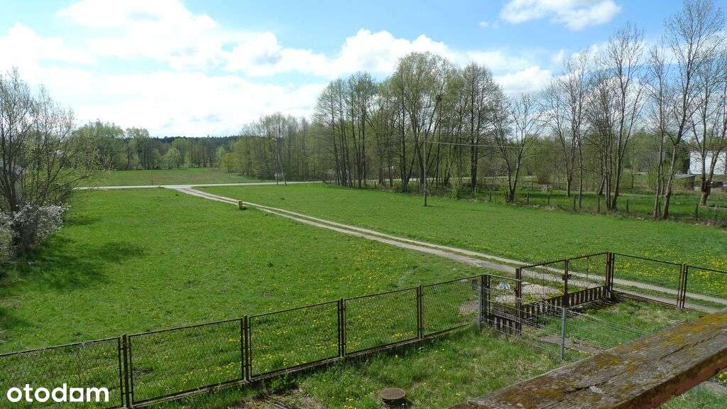 siedlisko, prawie 1 ha ziemi, w pięknym otoczeniu!-7